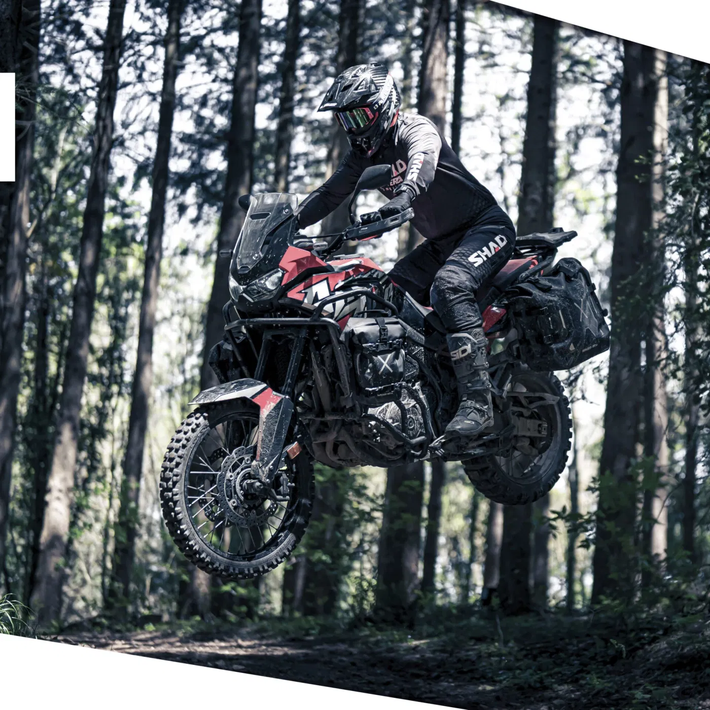 Obr�zok (7)